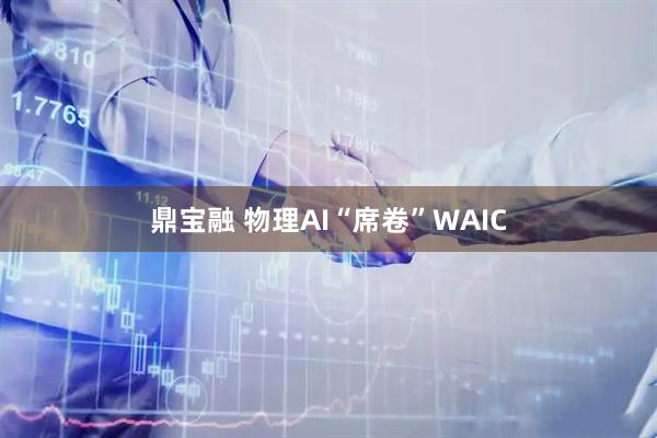 鼎宝融 物理AI“席卷”WAIC