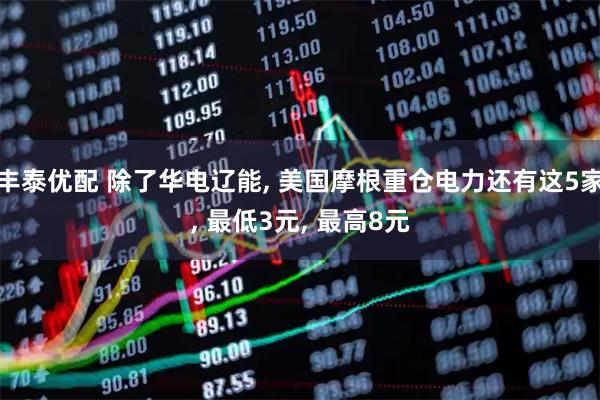 丰泰优配 除了华电辽能, 美国摩根重仓电力还有这5家, 最低3元, 最高8元